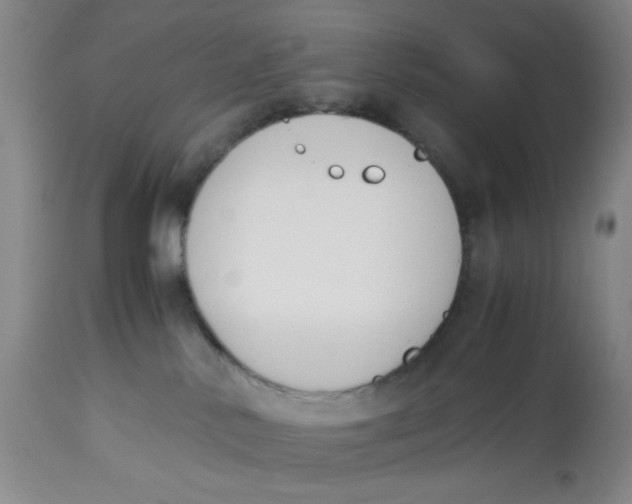 X0000113170042200909251428