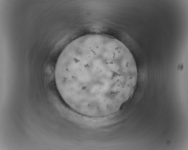 X0000113170043200909251428