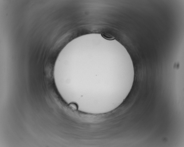 X0000113170044200909251428