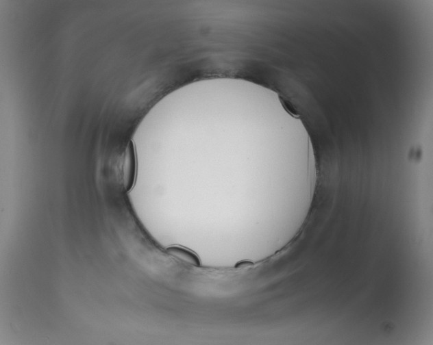 X0000113170045200909251428