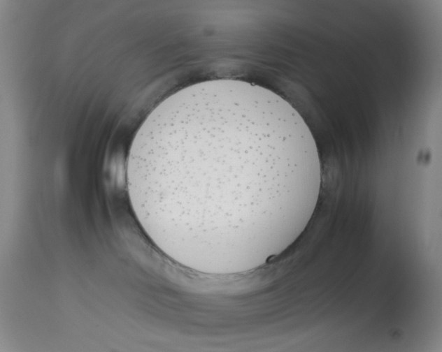 X0000113170046200909251428
