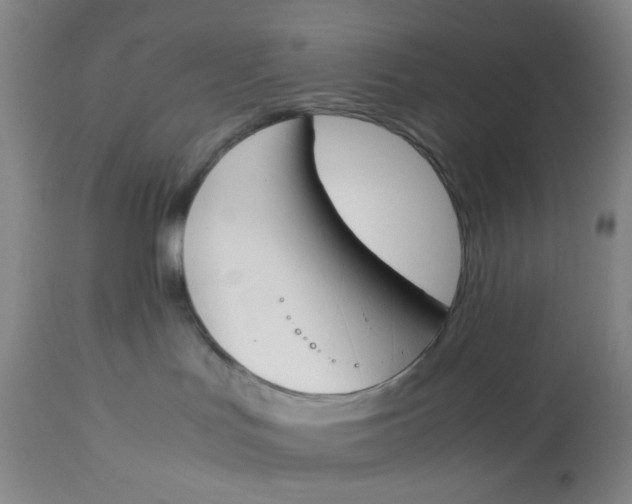 X0000113170047200909251428