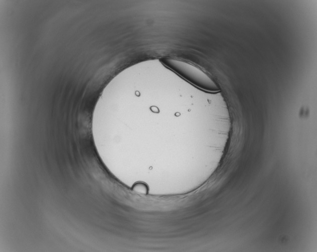 X0000113170048200909251428