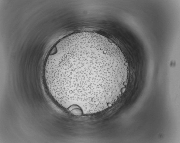 X0000113170049200909251427