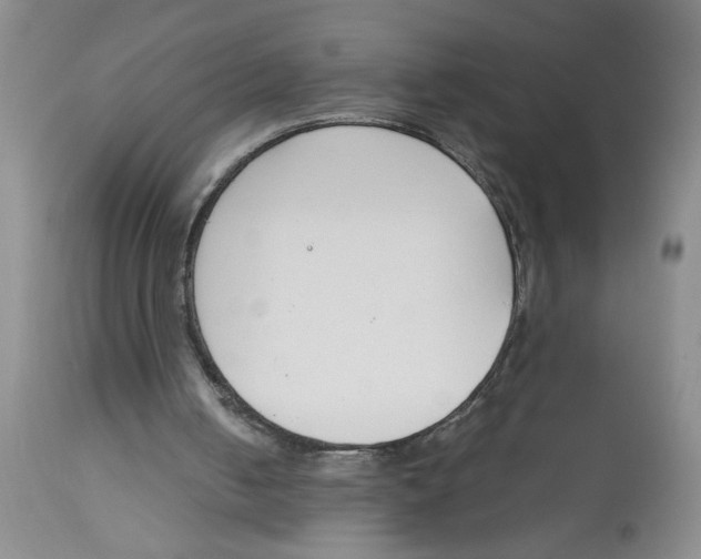 X0000113170050200909251427