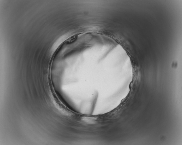 X0000113170051200909251427