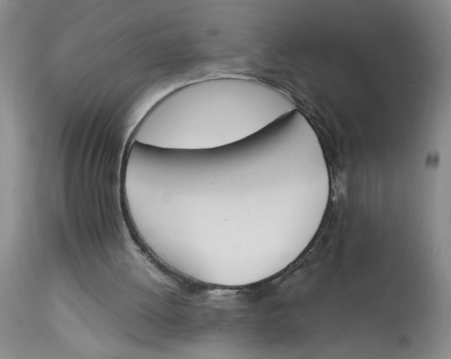X0000113170052200909251427