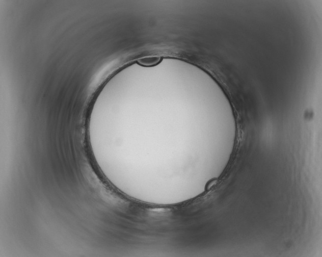 X0000113170053200909251427