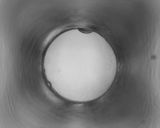 X0000113170054200909251427