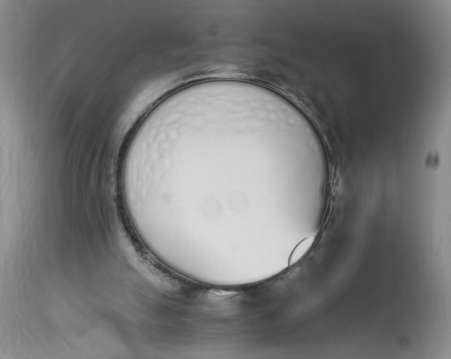 X0000113170055200909251427