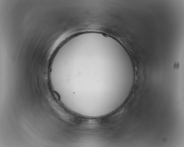 X0000113170056200909251427