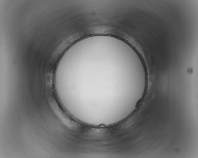 X0000113170057200909251427