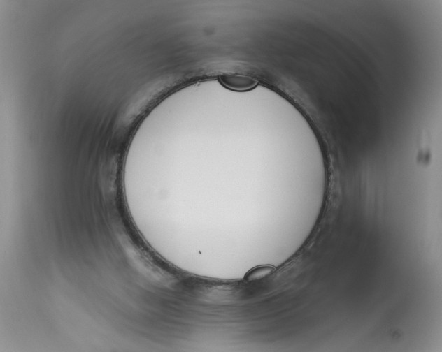 X0000113170058200909251427