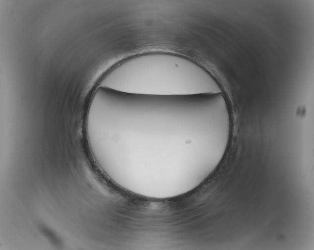 X0000113170060200909251427