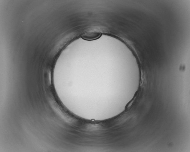 X0000113170061200909251427
