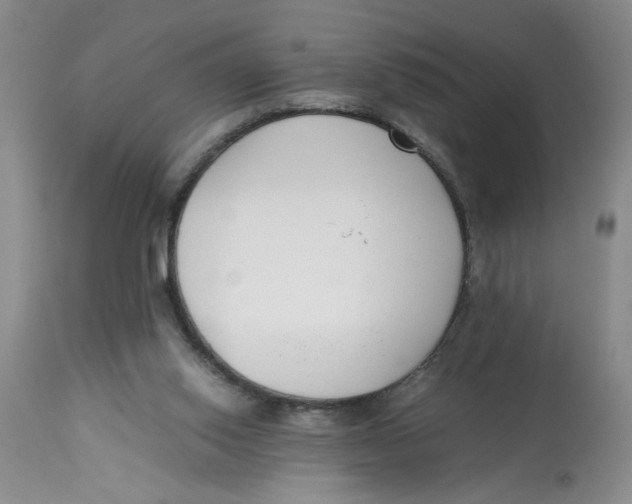 X0000113170062200909251427