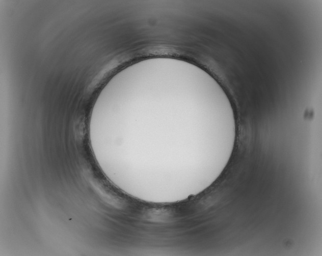 X0000113170063200909251427
