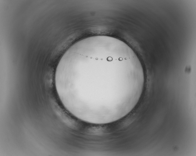 X0000113170065200909251427