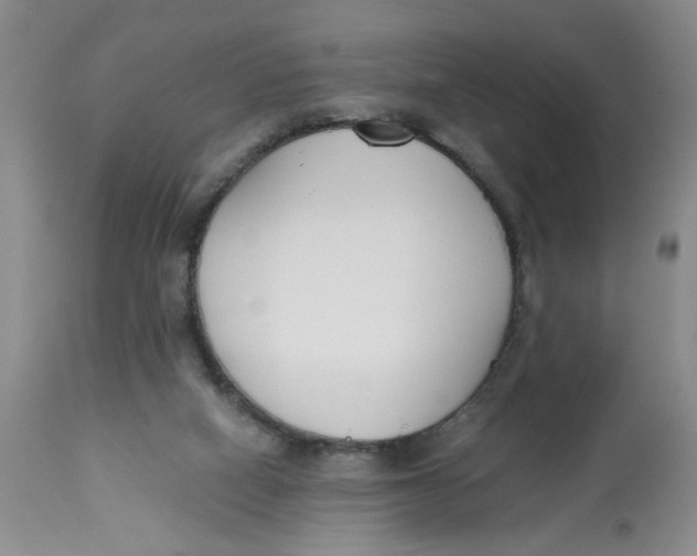 X0000113170066200909251427