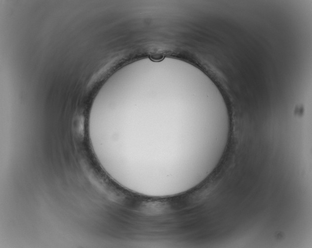 X0000113170067200909251427