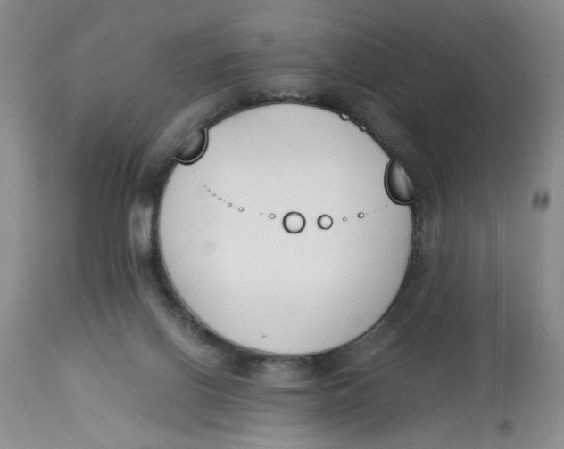 X0000113170070200909251427