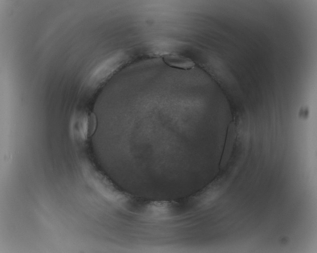 X0000113170076200909251428