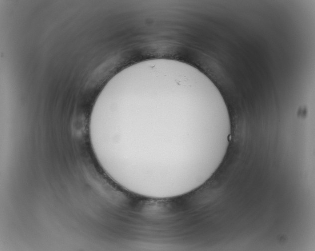 X0000113170077200909251428