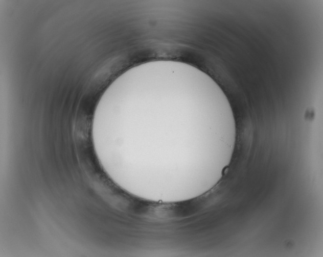 X0000113170078200909251428