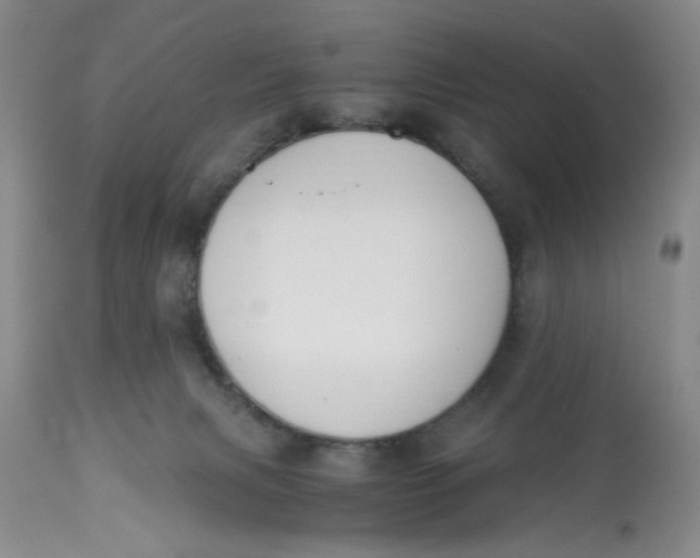 X0000113170079200909251428