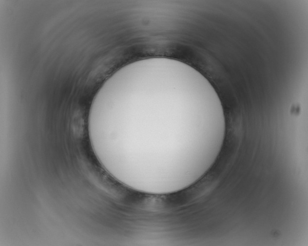 X0000113170080200909251428