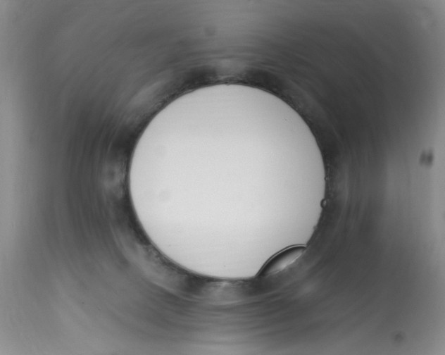X0000113170082200909251428
