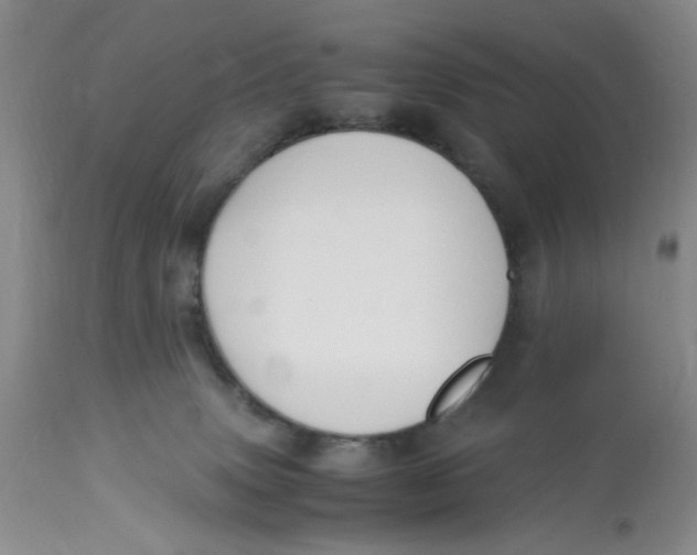 X0000113170083200909251428