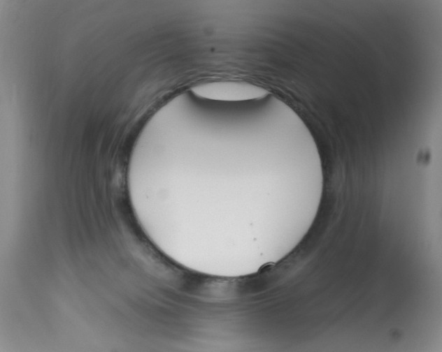 X0000113170084200909251428