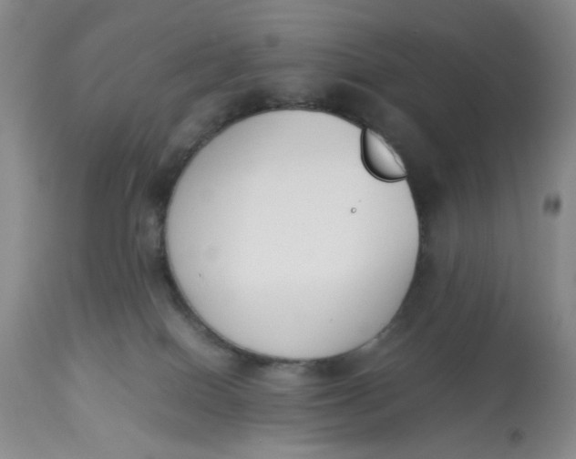 X0000113170086200909251428