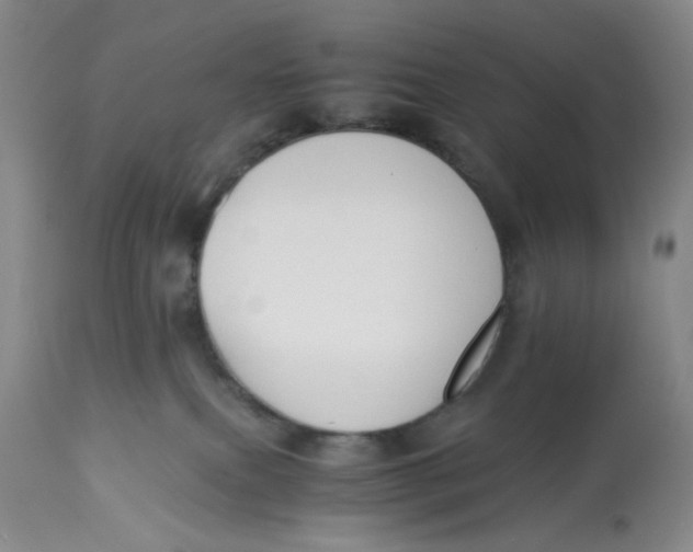 X0000113170087200909251428