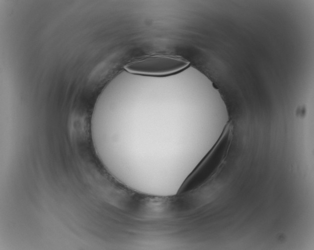 X0000113170088200909251428