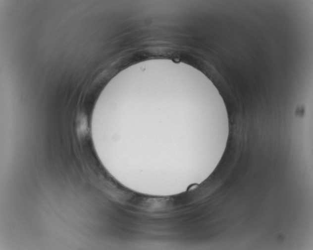 X0000113170089200909251428