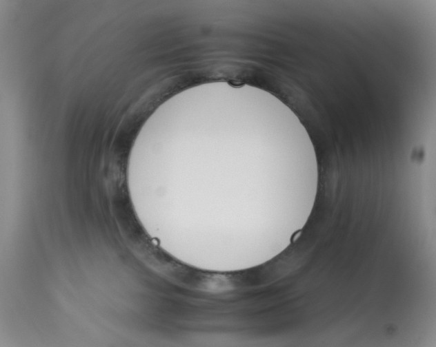X0000113170091200909251428