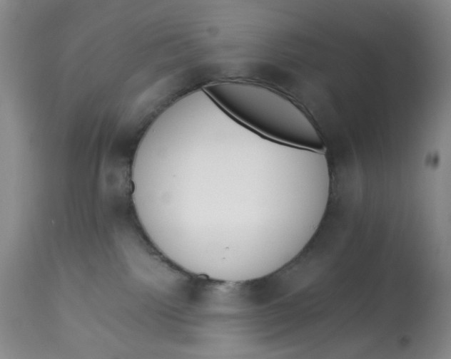 X0000113170092200909251428