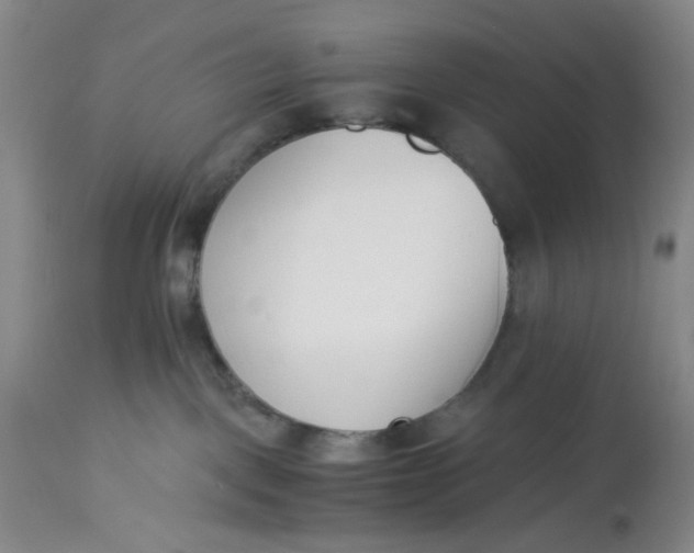 X0000113170093200909251428