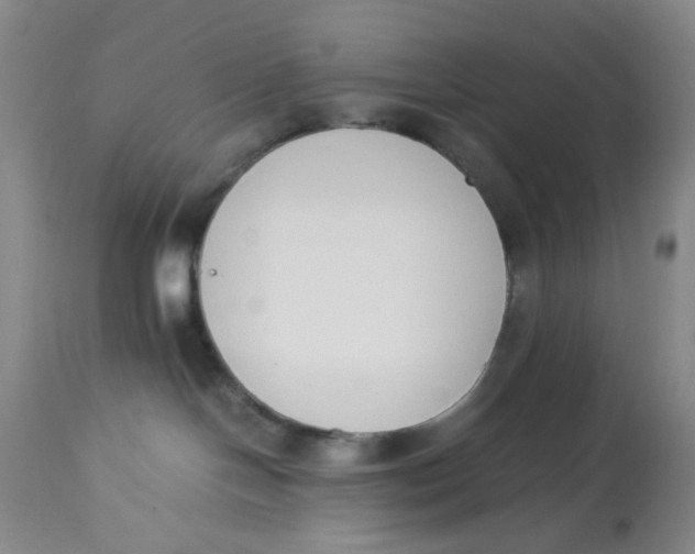 X0000113170094200909251428