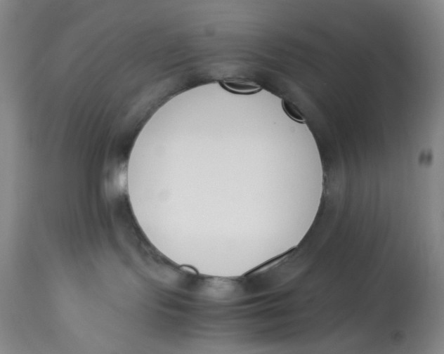 X0000113170095200909251428