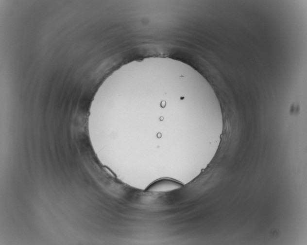 X0000113170096200909251428