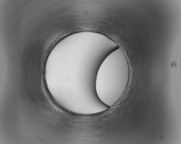 X0000113170097200909251427
