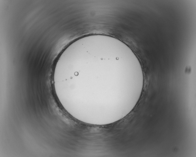 X0000113170098200909251427