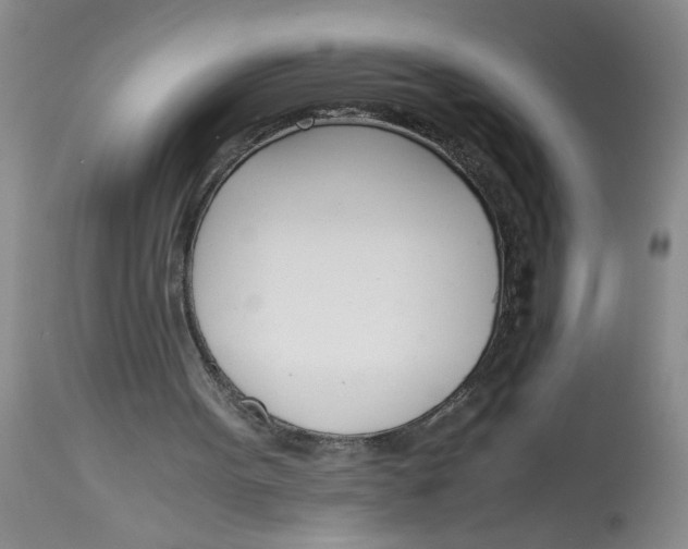 X0000113170099200909251427