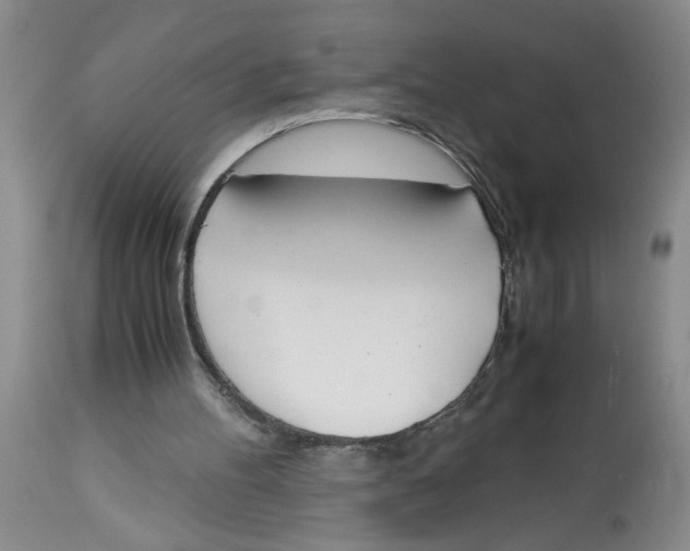 X0000113170100200909251427