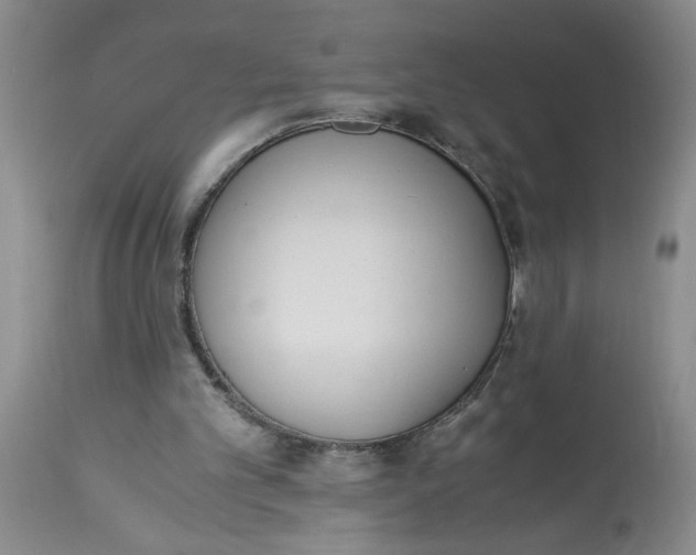 X0000113170101200909251427