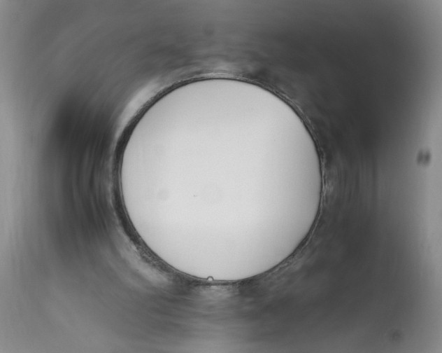 X0000113170102200909251427