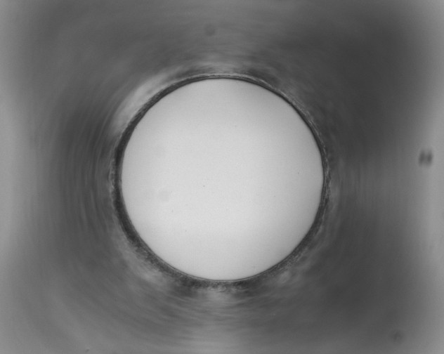 X0000113170103200909251427